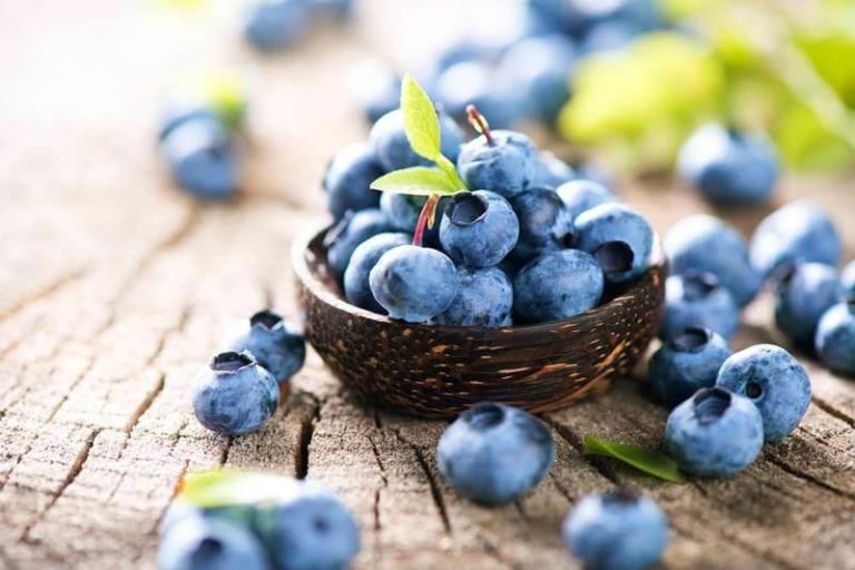 ᐅ Die besten Obst und Gemüsesorten für Hunde › guterHund.de