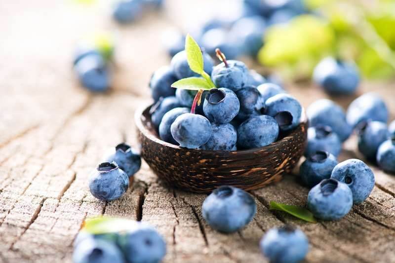 Blaubeeren für Hunde