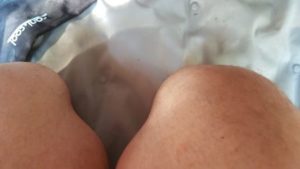 CaniCool Kühlmatte im Selbsttest