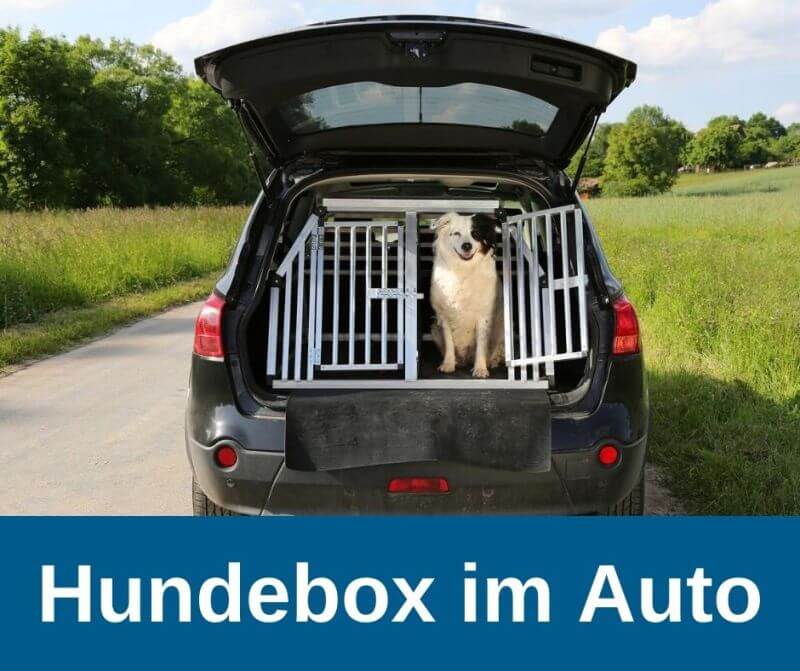 Hundebox im Auto
