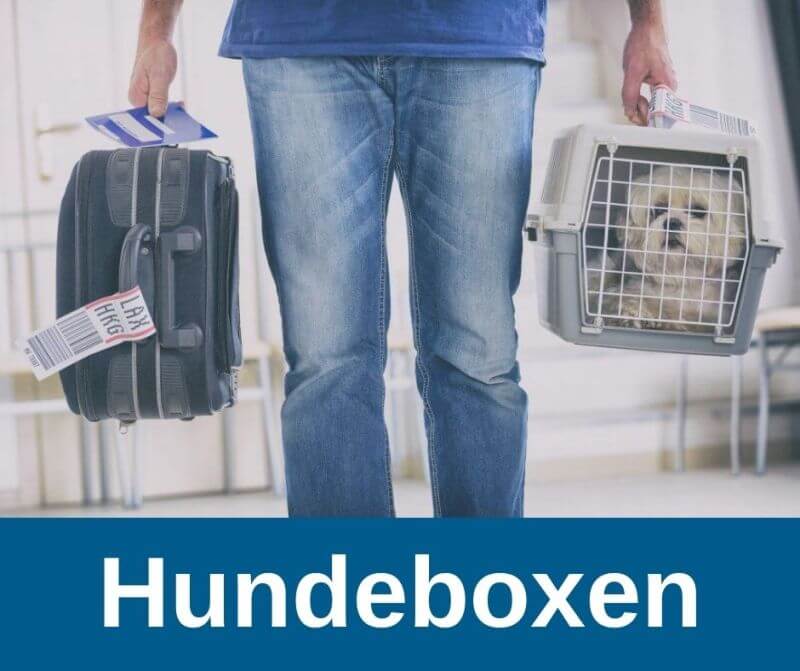 Hundeboxen