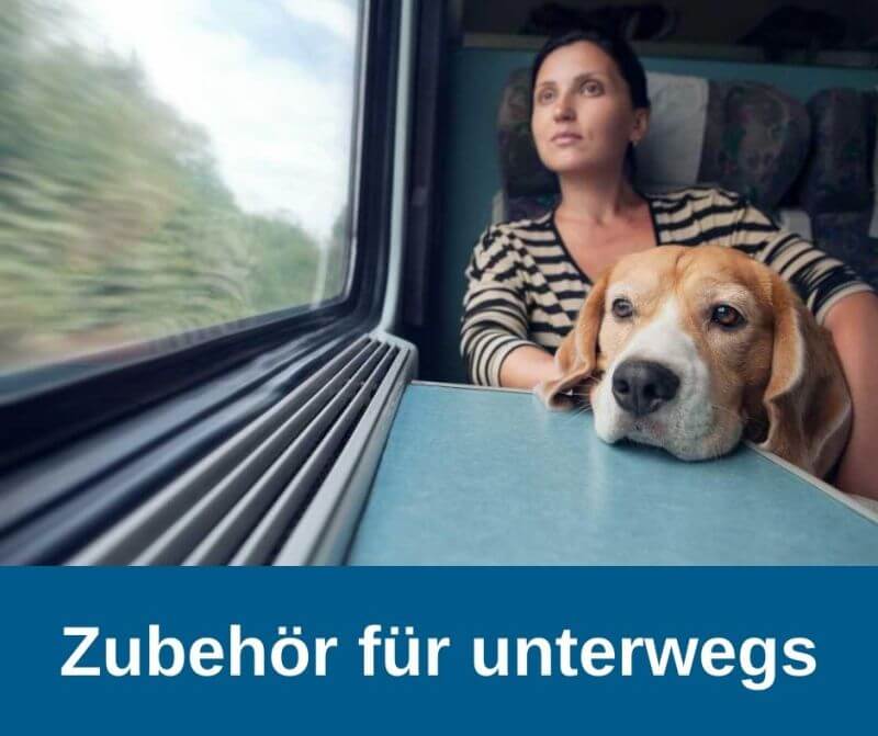 Hundezubehör für unterwegs