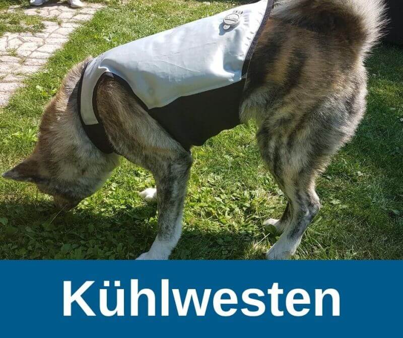 Kühlweste Hund