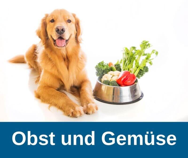 Obst und Gemüse für Hunde