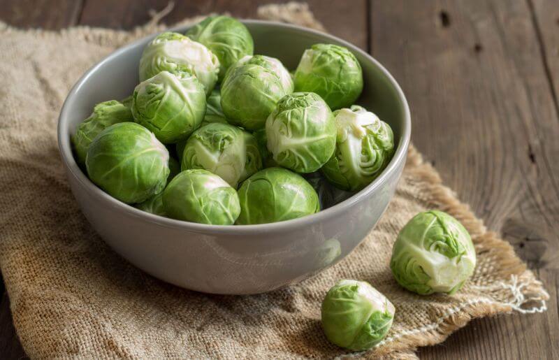 Rosenkohl für Hunde