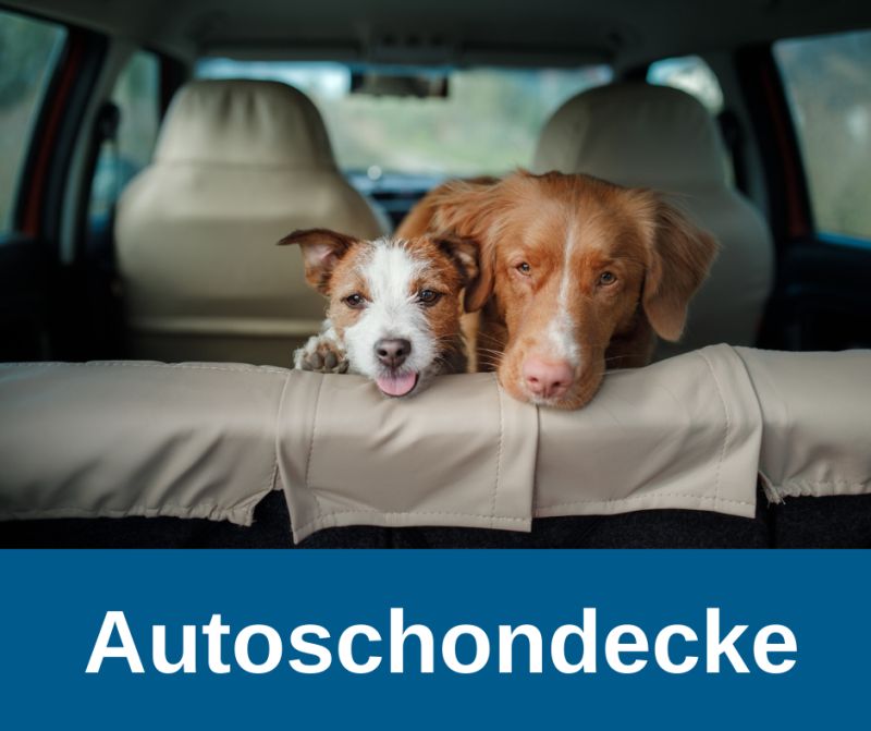 Autoschondecke