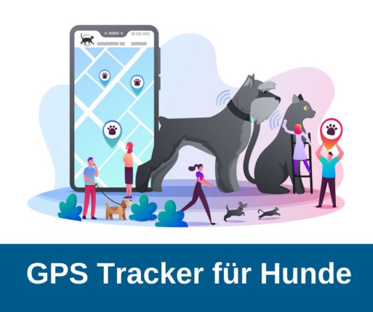 ᐅ GPS Tracker für Hunde › guterHund.de