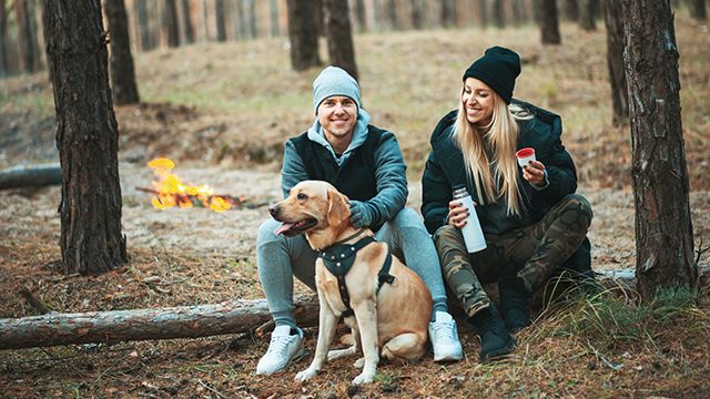 Thermobecher mit Hundemotiv