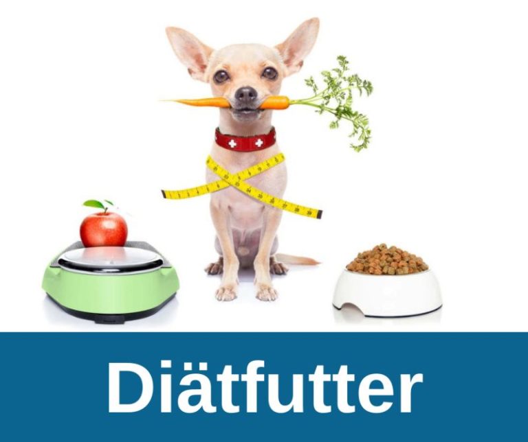 ᐅ Diätfutter für dicke Hunde ? › guter-Hund.de