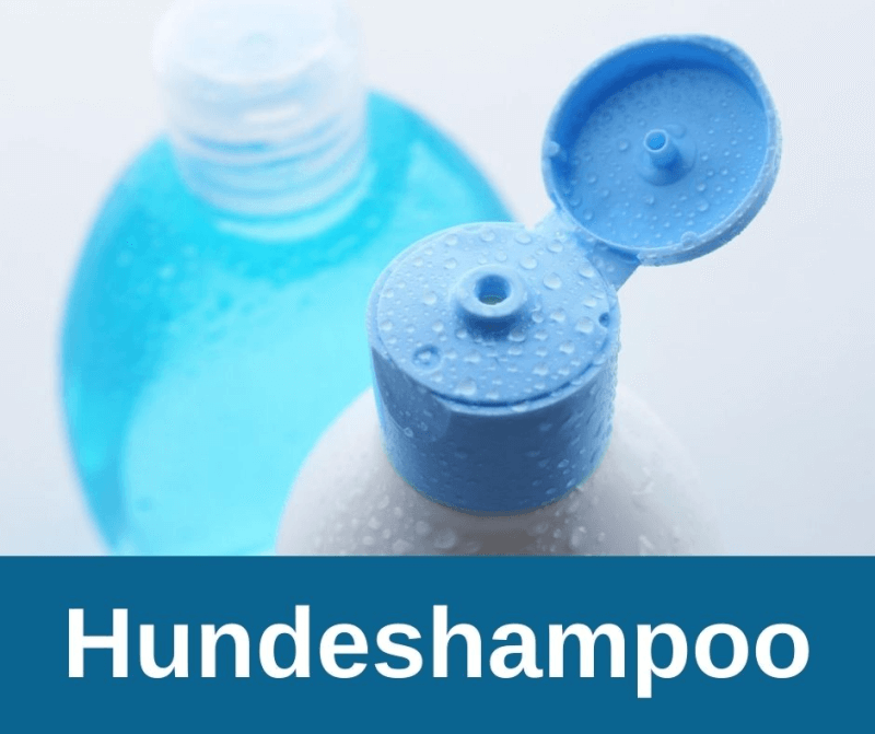 Hundeshampoo
