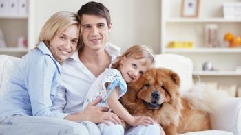 Hunde Shop Vorschaubild
