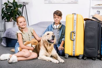 Reisen mit Hund Vorschaubild