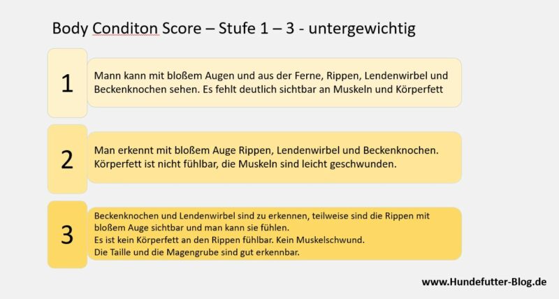Body Condition Score Stufe 1-3