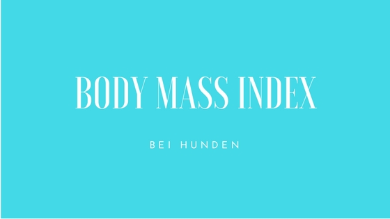 Grafik Body Mass Index Hunde